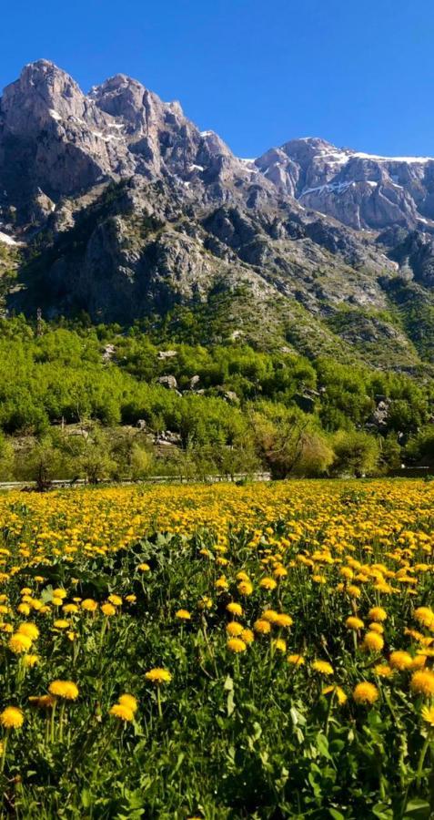 Villas Jezerca Valbone Buitenkant foto